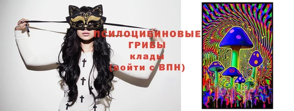 герыч Пестово