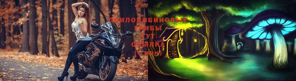 стаф Коряжма