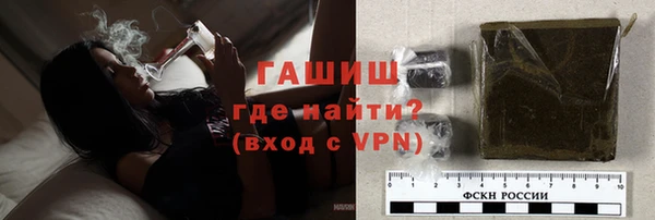 индика Покачи