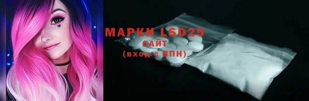 прущие грибы Ладушкин