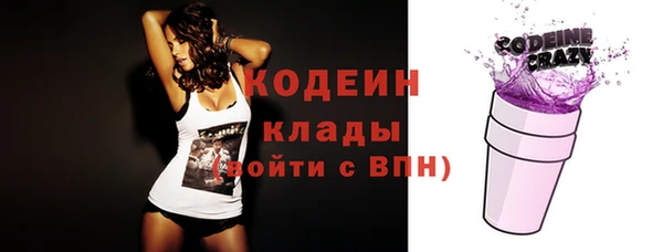 молекула духа Покров