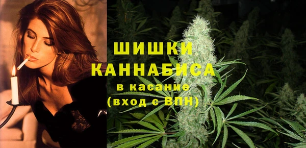 прущие грибы Ладушкин