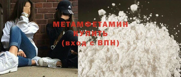 прущие грибы Ладушкин